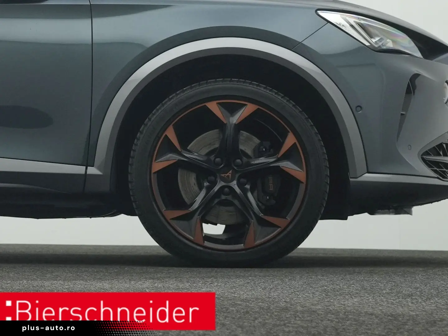 Formentor 2.0 TSI DSG 4Dr. VZ PANO AHK 360 eHECK