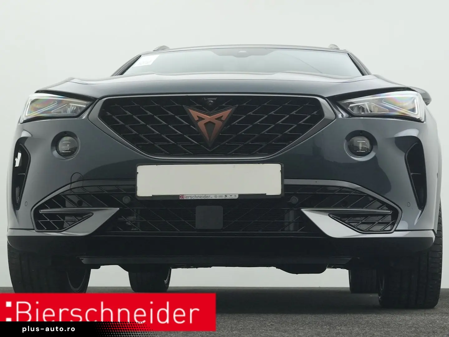 Formentor 2.0 TSI DSG 4Dr. VZ PANO AHK 360 eHECK