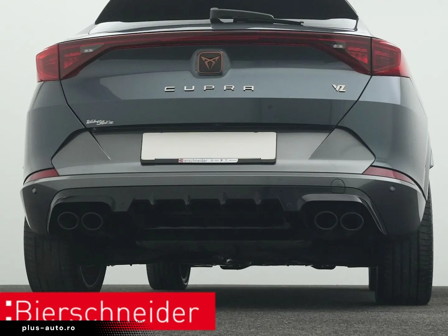 Formentor 2.0 TSI DSG 4Dr. VZ PANO AHK 360 eHECK