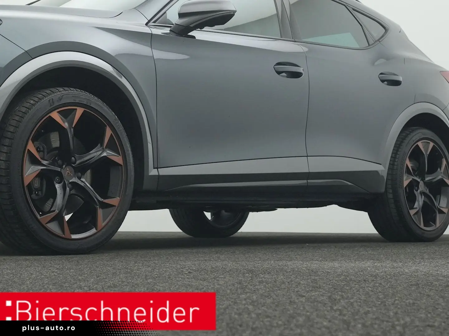 Formentor 2.0 TSI DSG 4Dr. VZ PANO AHK 360 eHECK