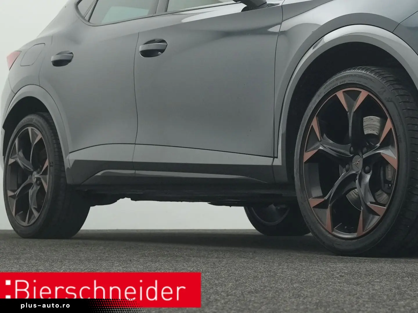 Formentor 2.0 TSI DSG 4Dr. VZ PANO AHK 360 eHECK