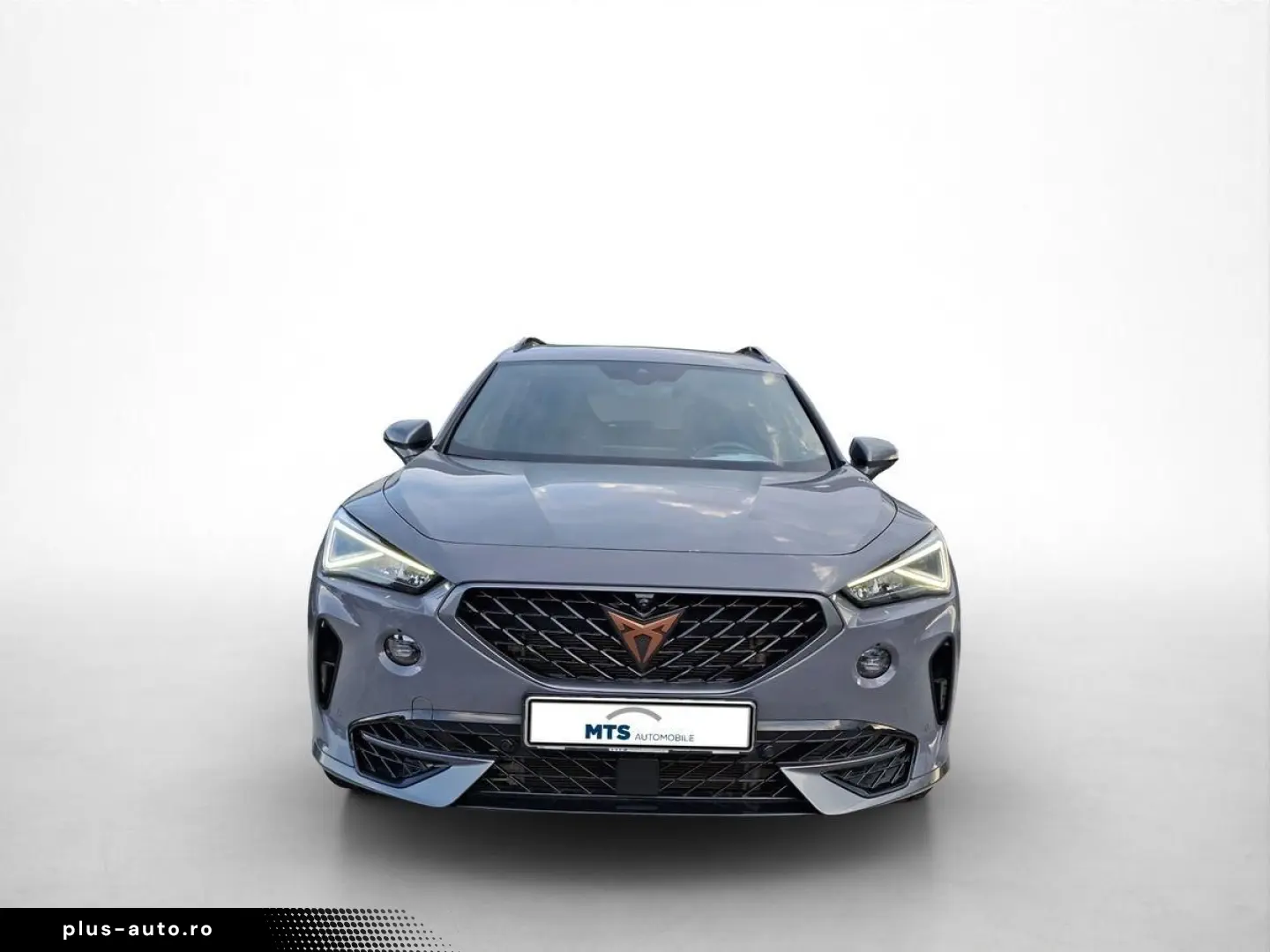 Formentor VZ 2.0 TSI 4Drive 310PS Navi Leder LED