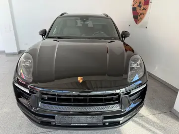 Macan - 1. Hand - Panorama- Vollleder