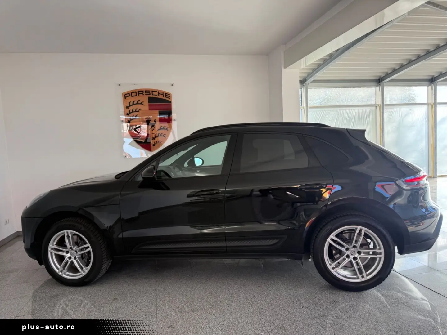 Macan - 1. Hand - Panorama- Vollleder