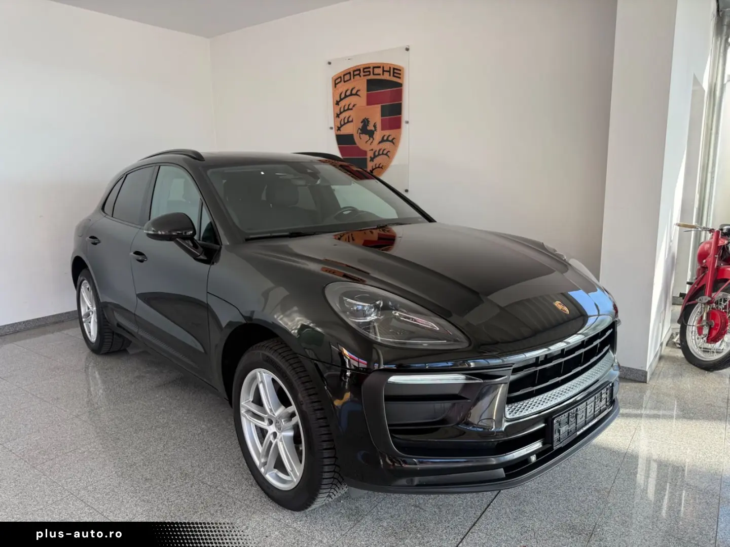 Macan - 1. Hand - Panorama- Vollleder