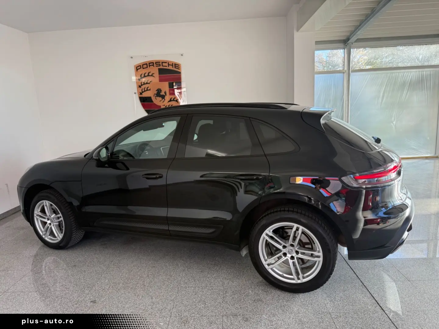 Macan - 1. Hand - Panorama- Vollleder