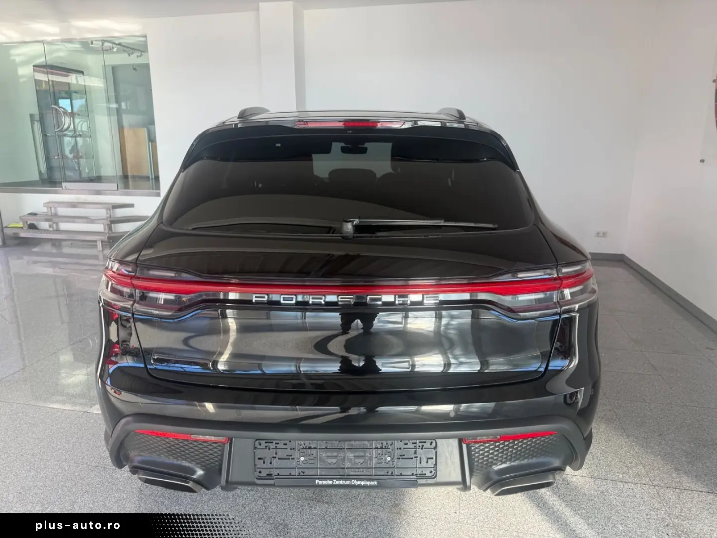 Macan - 1. Hand - Panorama- Vollleder