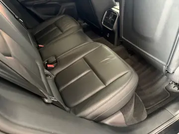 Macan - 1. Hand - Panorama- Vollleder