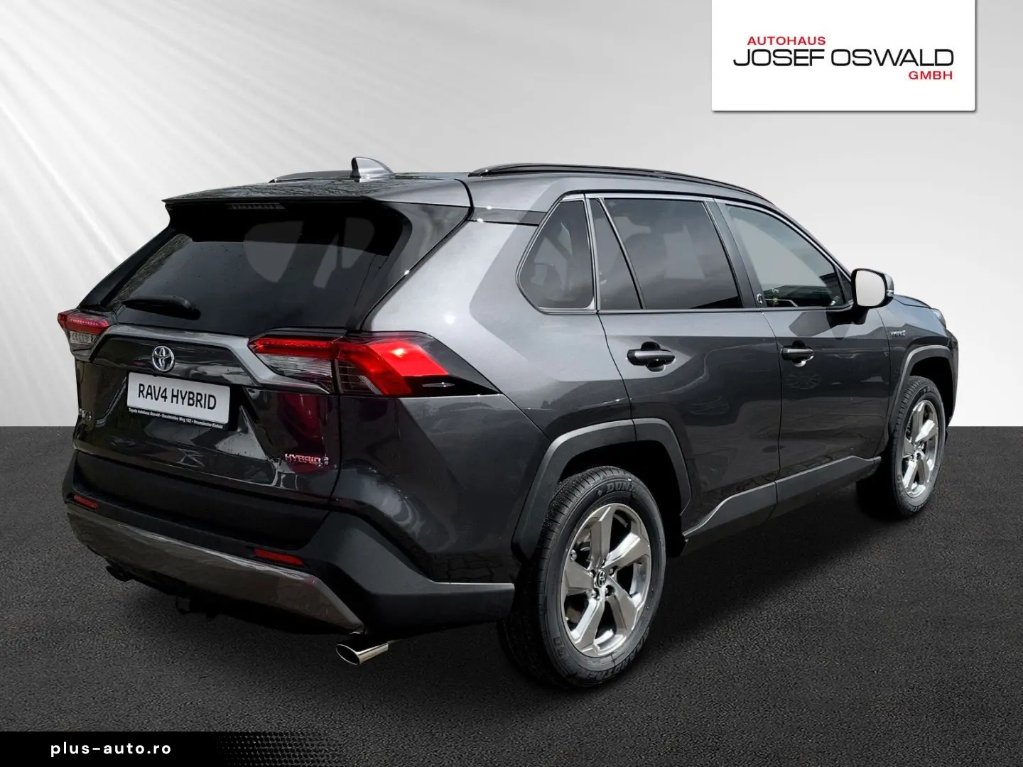 RAV 4 RAV4 Hybrid 4x2 Team Deutschland