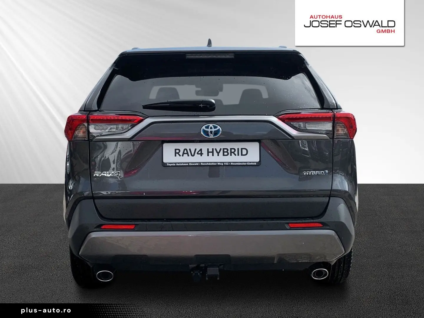RAV 4 RAV4 Hybrid 4x2 Team Deutschland
