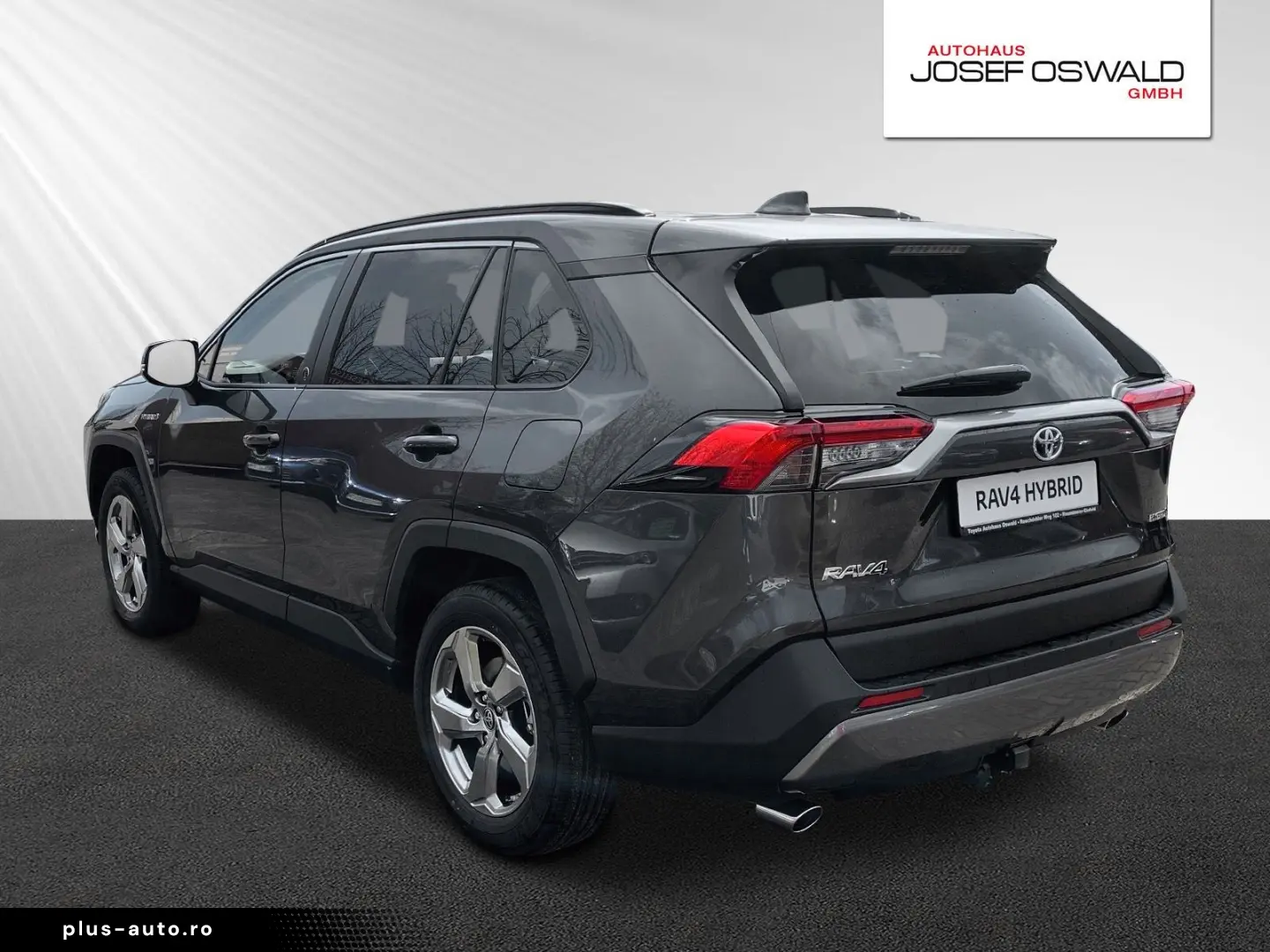 RAV 4 RAV4 Hybrid 4x2 Team Deutschland