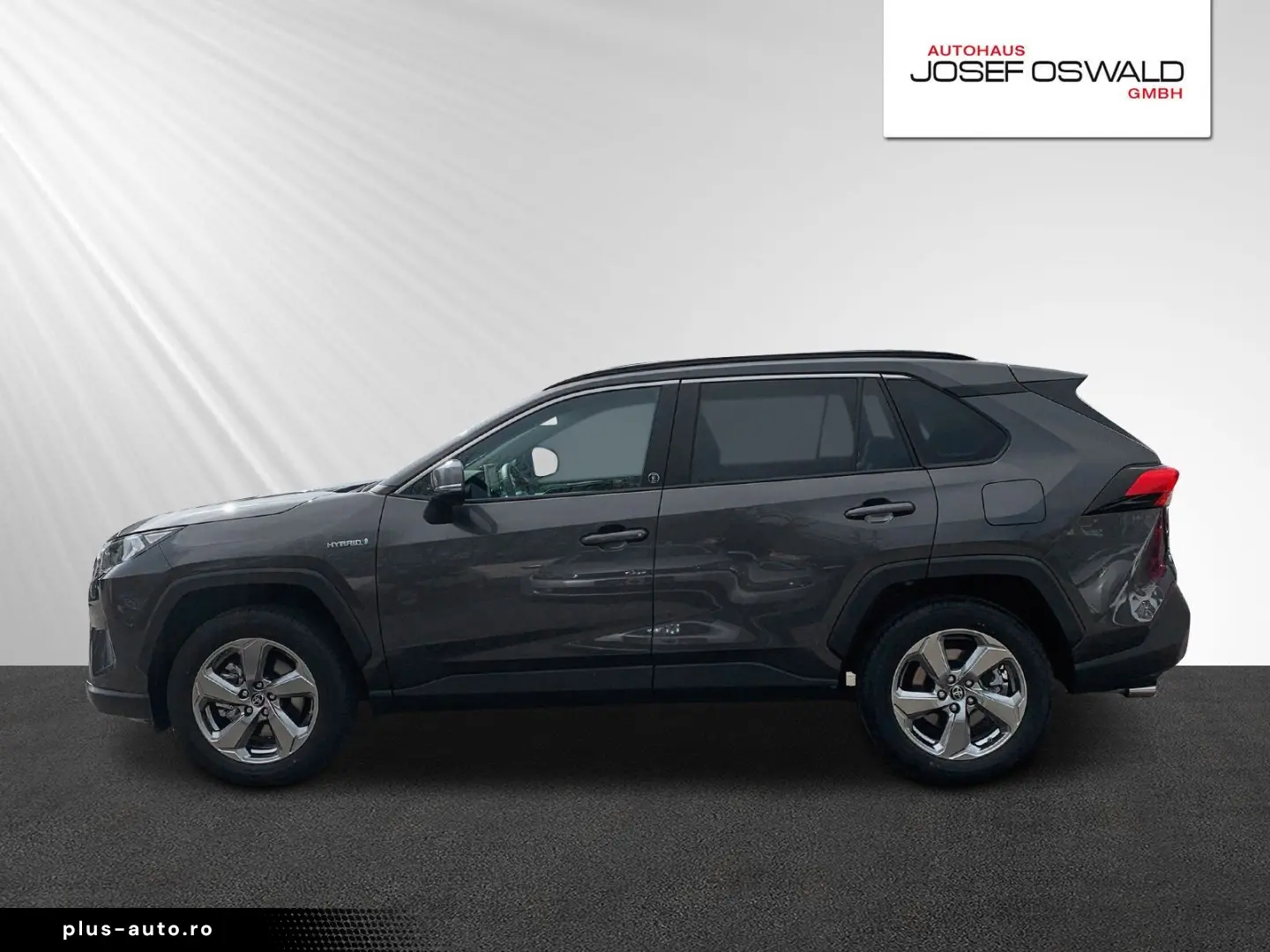 RAV 4 RAV4 Hybrid 4x2 Team Deutschland