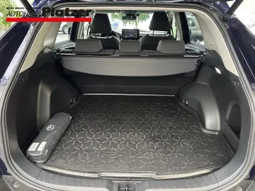 RAV 4 4x2 Team Deutschland Hybrid Navi Apple Car