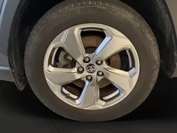 RAV 4 Hybrid  Team Deutschland AHK 8FACH !!