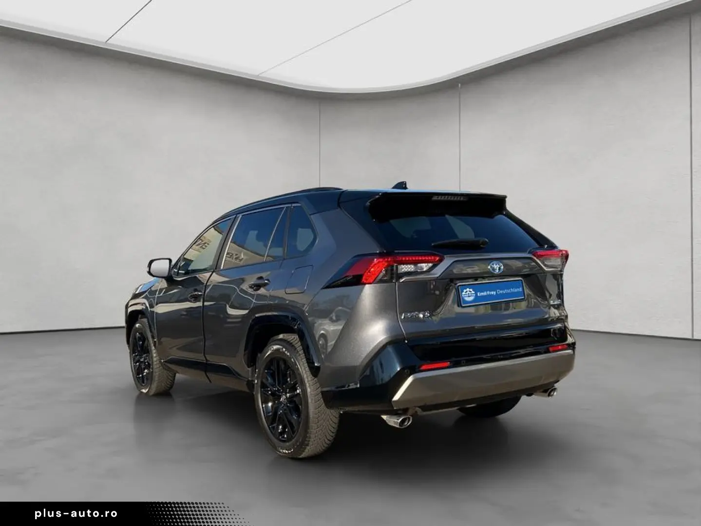 RAV 4 2.5 Hybrid Selection Panoramadach