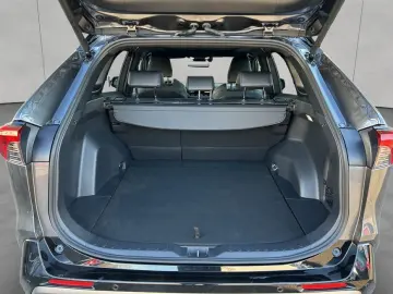 RAV 4 2.5 Hybrid Selection Panoramadach