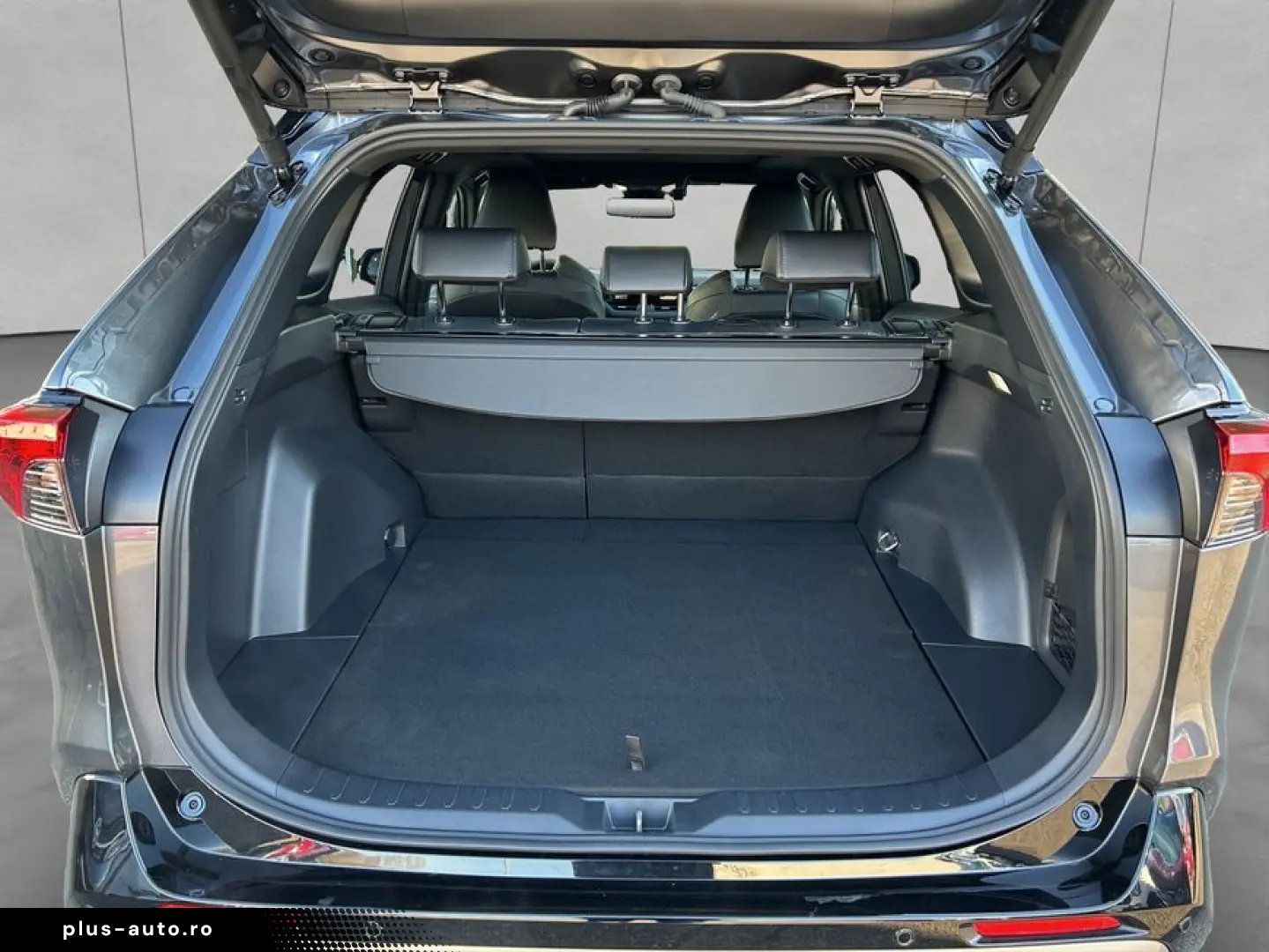 RAV 4 2.5 Hybrid Selection Panoramadach