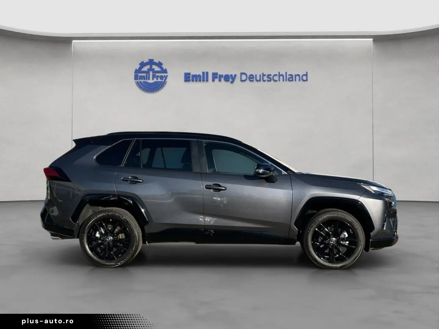 RAV 4 2.5 Hybrid Selection Panoramadach