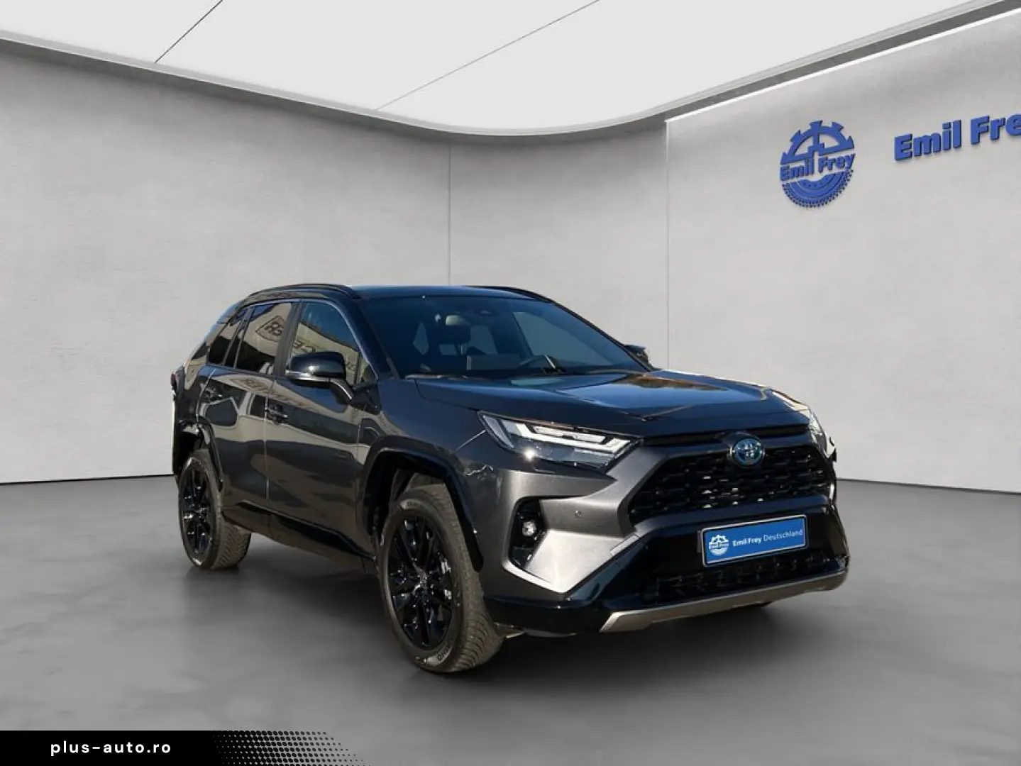 RAV 4 2.5 Hybrid Selection Panoramadach