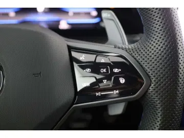 Golf R 2.0 TSI 4Mot. DSG AKRA Matrix P-Dach RFK