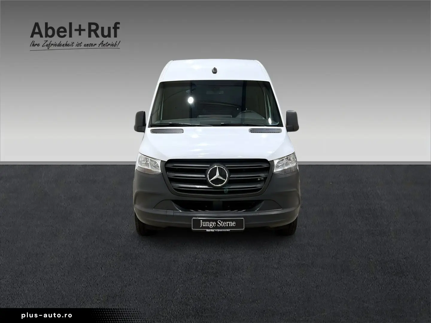 eSprinter 312 Kasten L2H2 Kamera Klima SHz DAB