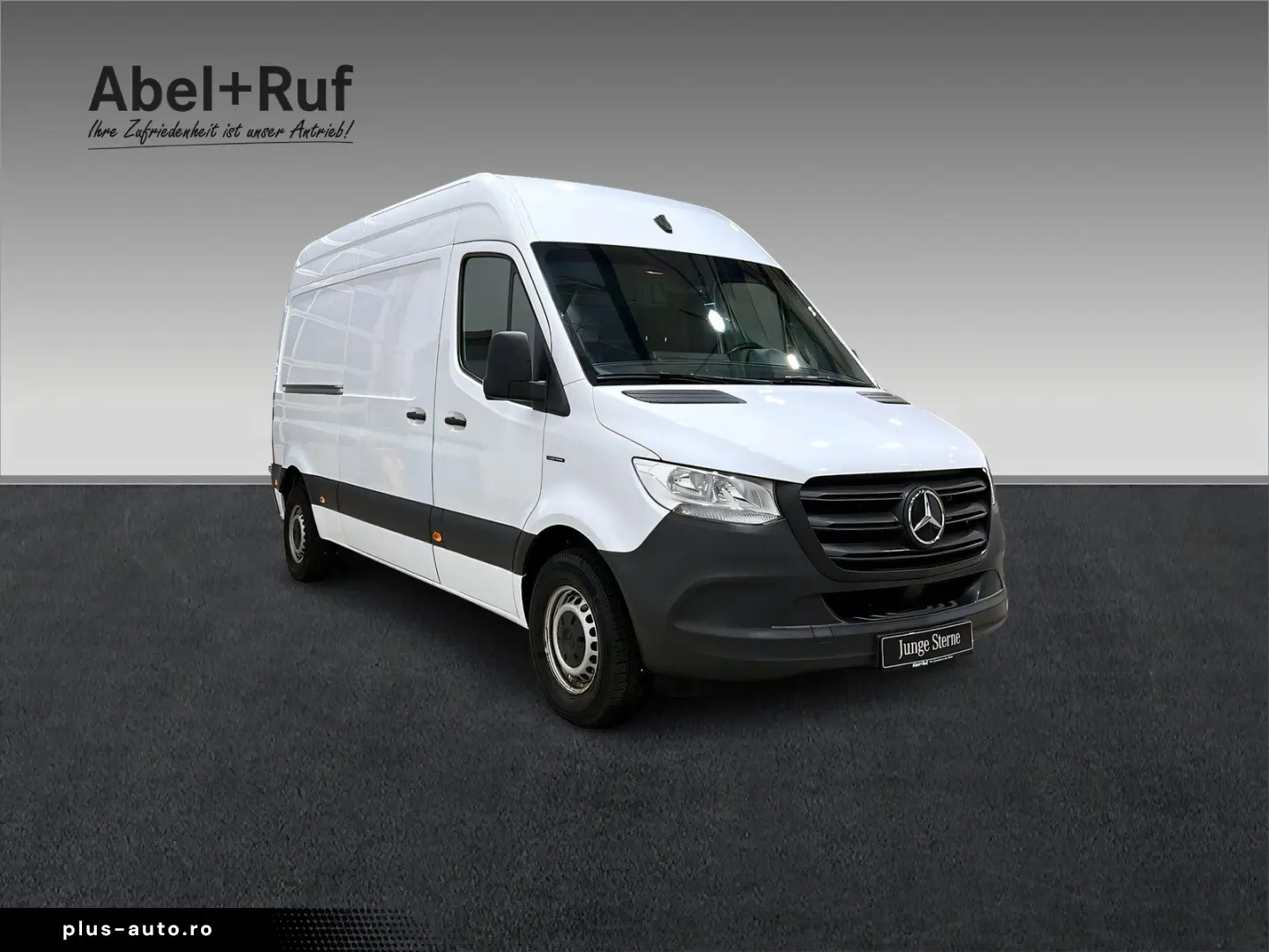 eSprinter 312 Kasten L2H2 Kamera Klima SHz DAB