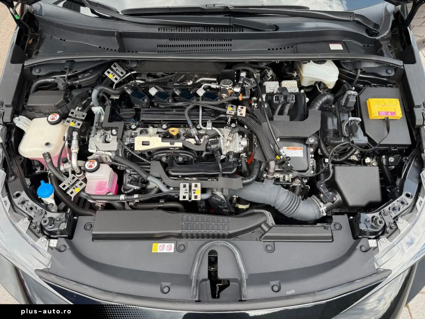 Corolla Touring Sports Hybrid Team D