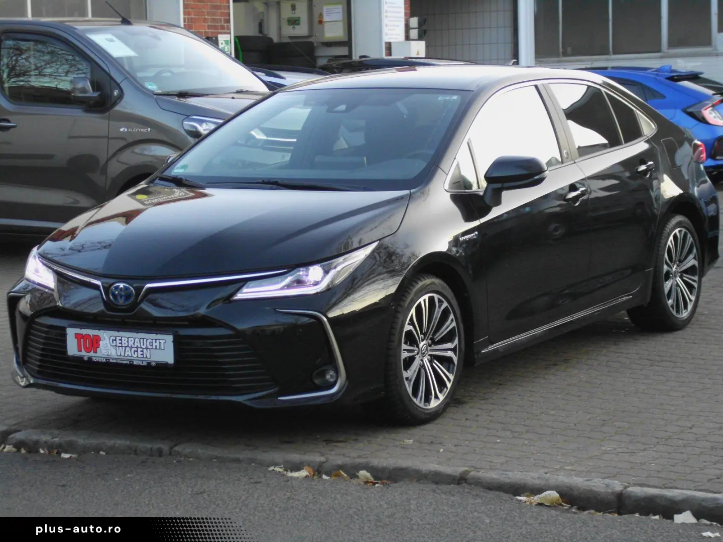 Corolla  Hybrid Team D