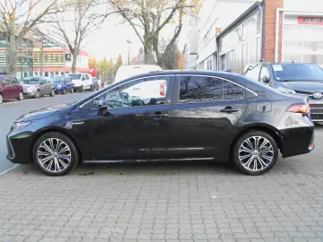 Corolla  Hybrid Team D