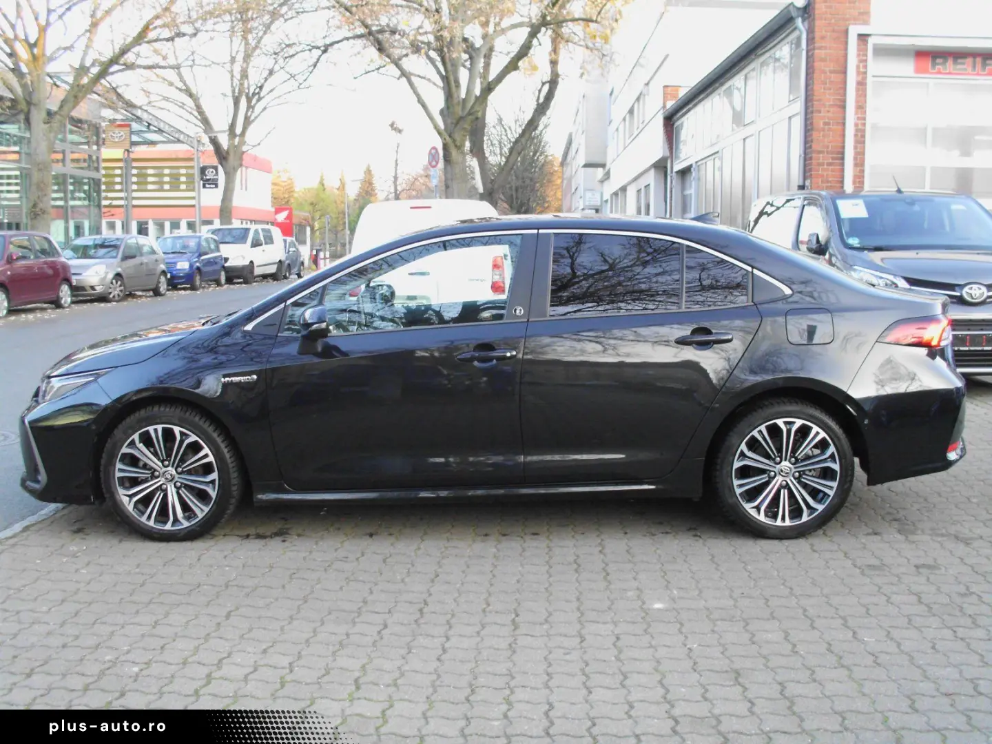 Corolla  Hybrid Team D