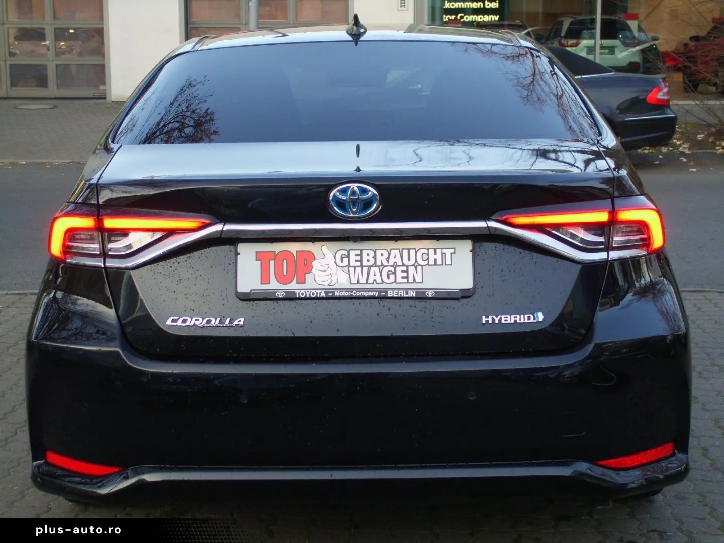 Corolla  Hybrid Team D