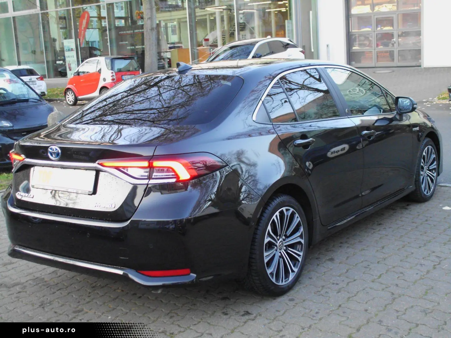 Corolla  Hybrid Team D