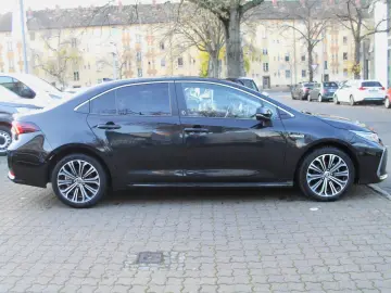 Corolla  Hybrid Team D