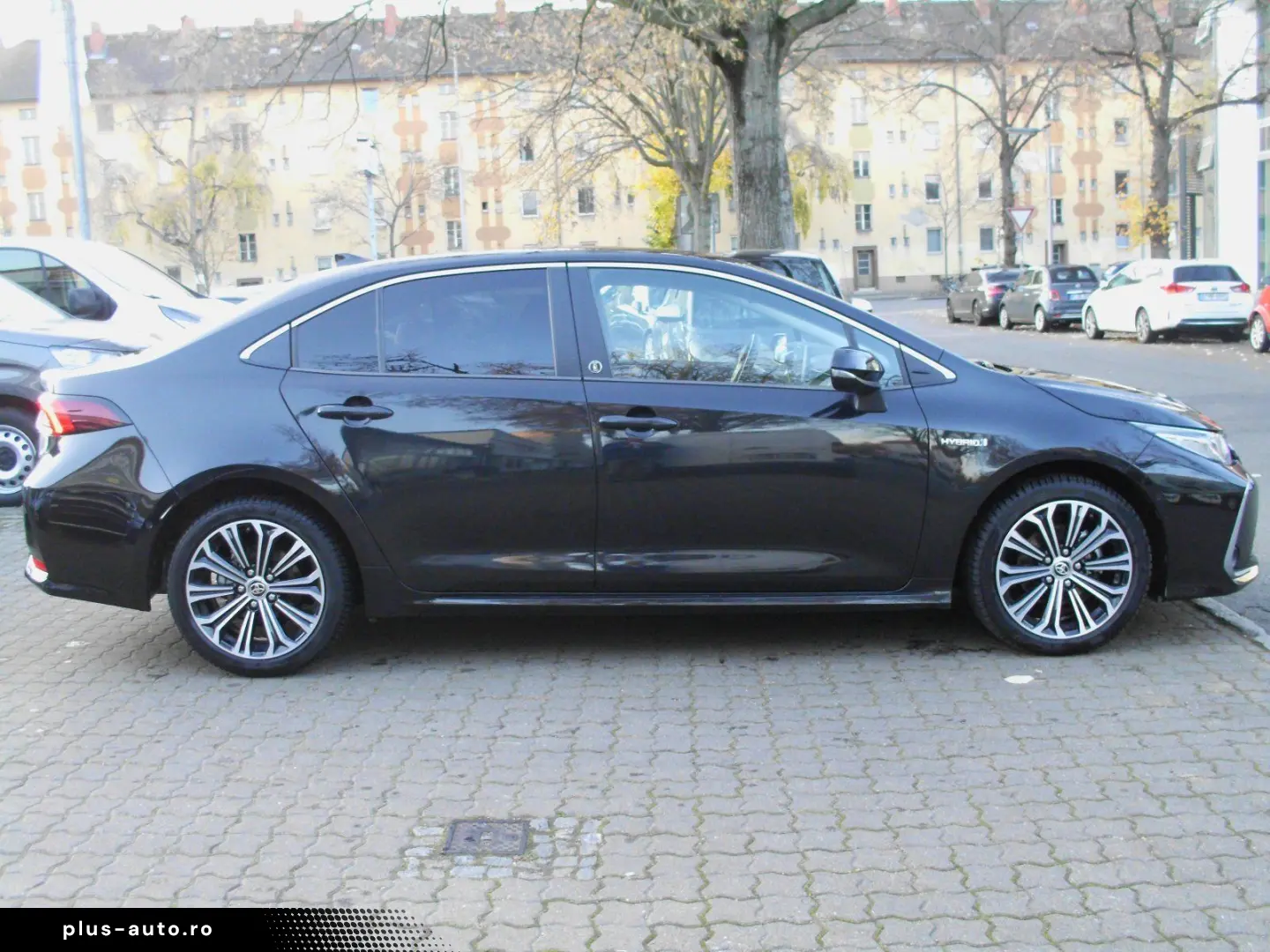 Corolla  Hybrid Team D