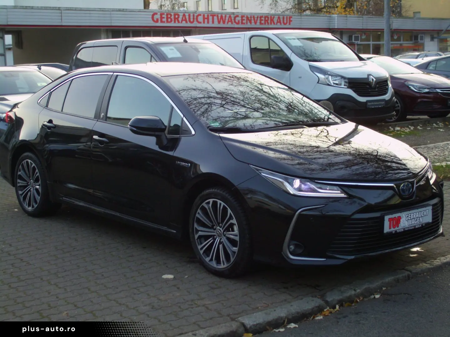 Corolla  Hybrid Team D