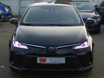 Corolla  Hybrid Team D