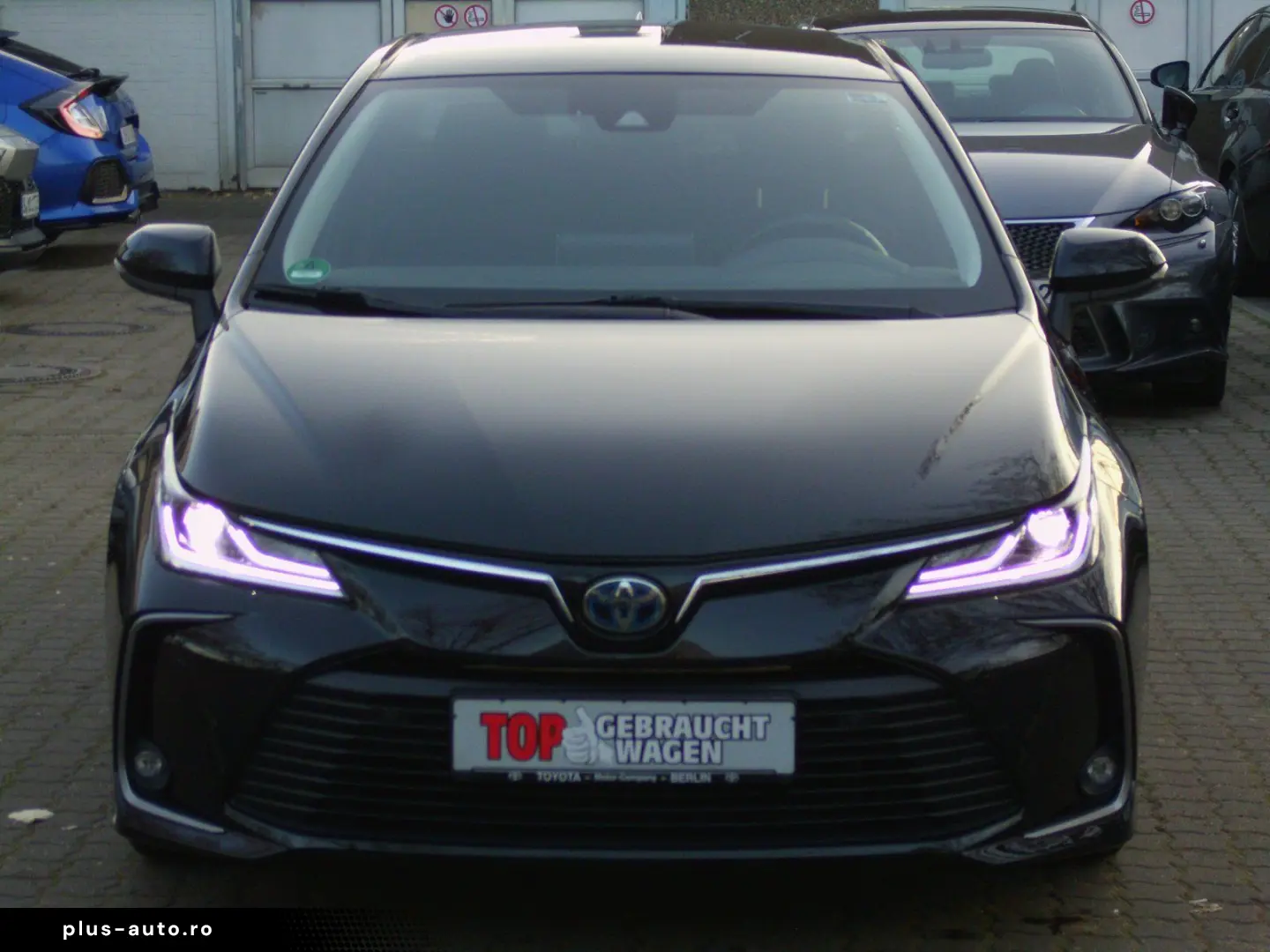 Corolla  Hybrid Team D