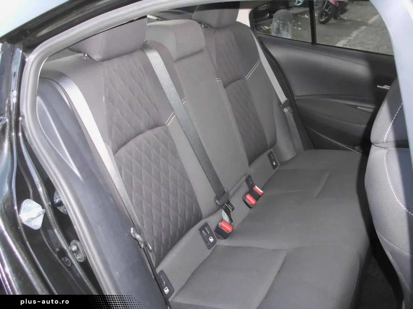 Corolla  Hybrid Team D