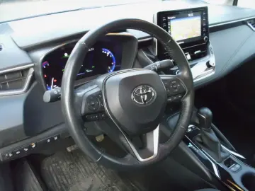 Corolla  Hybrid Team D