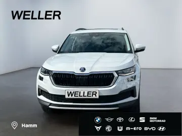 Kodiaq 2.0 TDI DSG Ambition  7-Si Pano ACC RCam