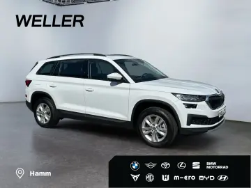 Kodiaq 2.0 TDI DSG Ambition  7-Si Pano ACC RCam