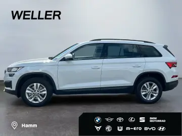 Kodiaq 2.0 TDI DSG Ambition  7-Si Pano ACC RCam