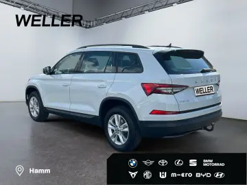 Kodiaq 2.0 TDI DSG Ambition  7-Si Pano ACC RCam