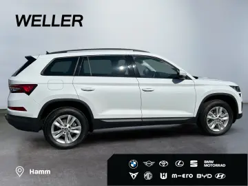 Kodiaq 2.0 TDI DSG Ambition  7-Si Pano ACC RCam