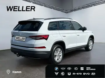 Kodiaq 2.0 TDI DSG Ambition  7-Si Pano ACC RCam