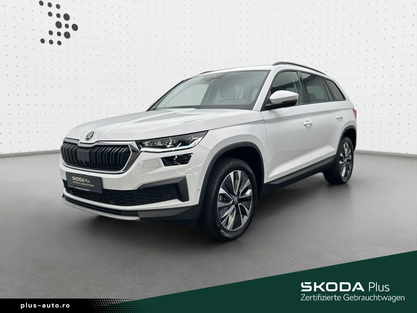 Kodiaq Ambition 2.0 TDI 4x4 NAVI AHK KAM SHZ MAT