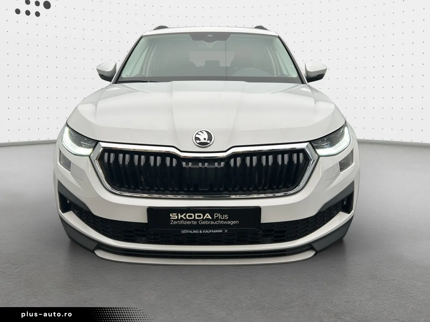 Kodiaq Ambition 2.0 TDI 4x4 NAVI AHK KAM SHZ MAT