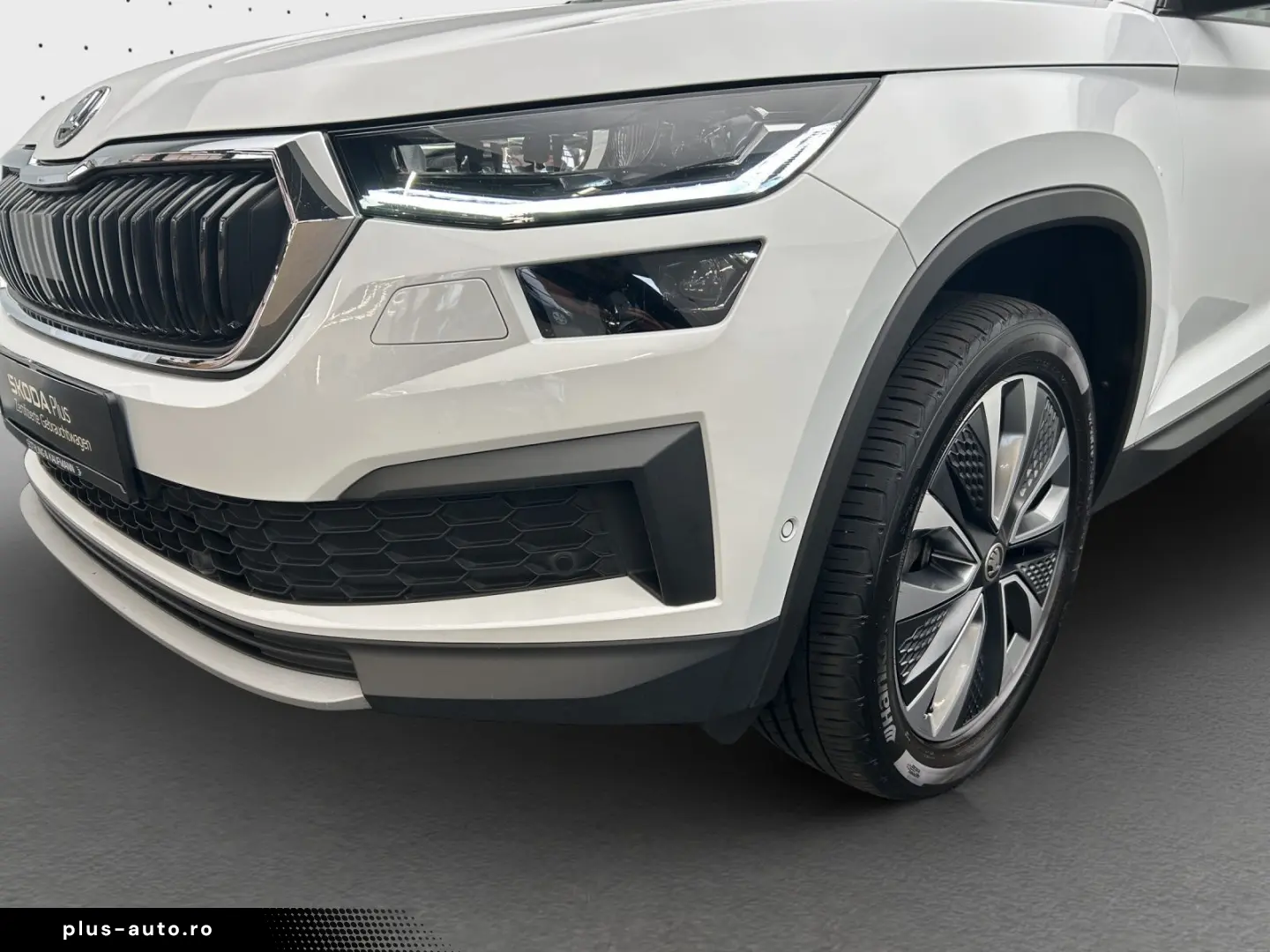 Kodiaq Ambition 2.0 TDI 4x4 NAVI AHK KAM SHZ MAT
