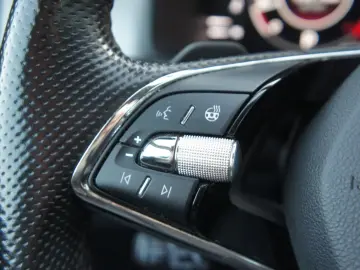 Kodiaq Clever DSG ACC NAV PDC LED APP WIPA