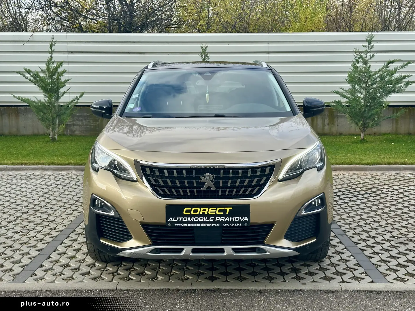 Peugeot 3008   106.000 km  5 moduri condus  garantie  rate